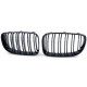 Body kit a vizuálne doplnky RACES maska chladiča (Double Bar Performance) pre BMW E81 E82 E87 E88 LCI, lesklá | race-shop.sk