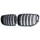 Body kit a vizuálne doplnky RACES maska chladiča (Double Bar Performance) pre BMW E81 E82 E87 E88 LCI, lesklá | race-shop.sk