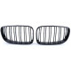 Body kit a vizuálne doplnky RACES maska chladiča (Double Bar Performance) pre BMW E81 E82 E87 E88 LCI, lesklá | race-shop.sk