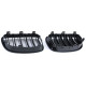 Body kit a vizuálne doplnky RACES maska chladiča (Double Bar Performance) pre BMW E81 E82 E87 E88 LCI, lesklá | race-shop.sk