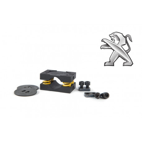 RacingDiffs RacingDiffs Progressive Limited Slip Differential konverzná sada pre Peugeot MA | race-shop.sk