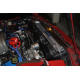 Ford Sahara ventilátora pre závodný chladič MISHIMOTO - Sada - 79-93 Ford Mustang | race-shop.sk