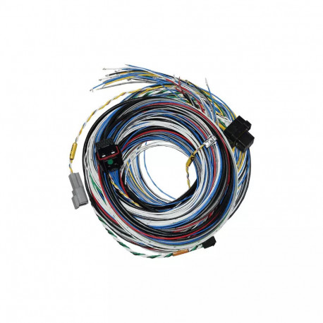 Riadiace jednotky, displaye a príslušenstvo FuelTech FT550 Lite Standalone ECU | race-shop.sk