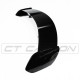 Body kit a vizuálne doplnky CT CARBON zadné krídlo pre MERCEDES A-CLASS W177 | race-shop.sk