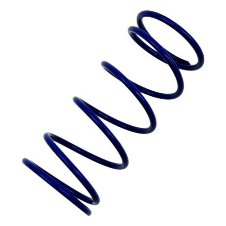 Náhradné diely a príslušensto RACES náhradná pružina pre Wastegate MODRÁ, 0,55BAR | race-shop.sk