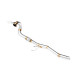 Down pipe, dump pipe Downpipe pre SEAT Altea 1.9, 2.0 TDI 2004-2013 | race-shop.sk