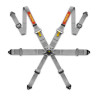 FIA FHR 6 point safety belts MOMO PRO DRIVER 3" (76 mm), grey