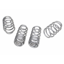 Whiteline WSK-VWN002 Coil Springs Lowered