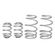 Whiteline Whiteline WSK-REN001 Coil Springs Lowered | race-shop.sk