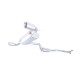 Výfukové systémy XFORCE XFORCE 76 mm cat-back výfukový systém pre FORD FOCUS 2006-2011 ST | race-shop.sk