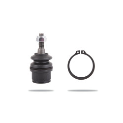 Pedders PBJ3395 Ball Joint