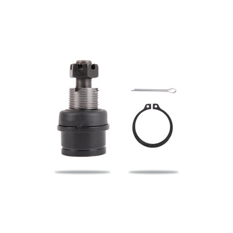 Pedders Pedders PBJ3137 Ball Joint | race-shop.sk