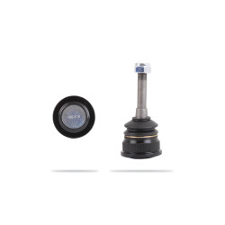 Pedders PBJ166 Ball Joint