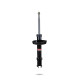 Športové tlmiče Pedders 8850 Sealed Strut | race-shop.sk