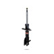 Športové tlmiče Pedders 8438R Sealed Strut | race-shop.sk