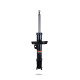 Športové tlmiče Pedders 8428R Sealed Strut | race-shop.sk