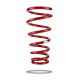 Pedders Pedders 7811 Heavy Duty Coil Spring | race-shop.sk