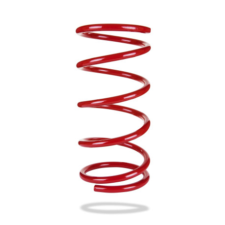 Pedders Pedders 7149 Heavy Duty Coil Spring | race-shop.sk