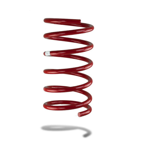 Pedders Pedders 2142R Sportsryder Coil Spring | race-shop.sk