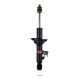 Športové tlmiče Pedders 124300L Shock Absorber | race-shop.sk