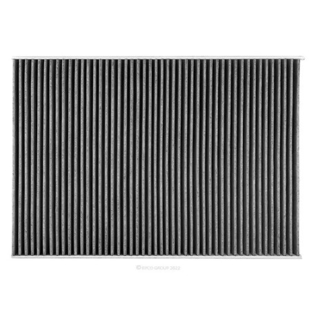 Kabínové filtre RYCO cabin air filter with activated carbon RCA176C | race-shop.sk
