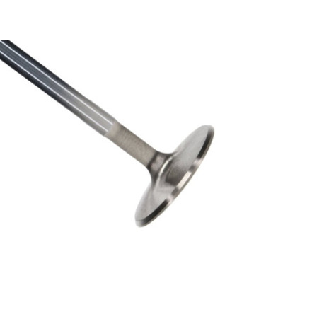 Časti motora Manley BBC Intake Valve 2.190 x 5218 x .3720 | race-shop.sk