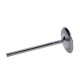 Časti motora Manley Titanium Series Chevy LS-7 Intake Valve | race-shop.sk
