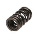 Časti motora Manley Valve Spring MITSUBISHI 4G63/T | race-shop.sk