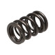 Časti motora Manley Valve Spring HONDA B SERIES NON V-TEC | race-shop.sk
