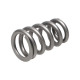 Časti motora Manley Valve Spring TOYOTA SUPRA 2JZ | race-shop.sk