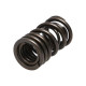 Časti motora Manley Valve Spring HONDA K20A/K20Z | race-shop.sk