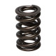 Časti motora Manley Valve Spring 1.640 DOUBLE | race-shop.sk