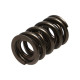 Časti motora Manley Valve Spring 1.640 DOUBLE | race-shop.sk