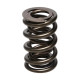 Časti motora Manley Valve Spring 1.640 DOUBLE | race-shop.sk