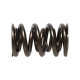 Časti motora Manley Valve Spring 1.640 DOUBLE | race-shop.sk