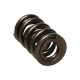 Časti motora Manley Valve Spring 1.640 DOUBLE | race-shop.sk