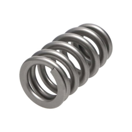 Časti motora Manley Valve Spring 1.311 SINGLE | race-shop.sk
