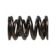 Časti motora Manley Valve Spring 1.610 DOUBLE | race-shop.sk