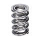 Časti motora Manley Valve Spring 1.620 DOUBLE | race-shop.sk
