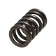 Časti motora Manley Valve Spring HONDA K20A3/K24A | race-shop.sk