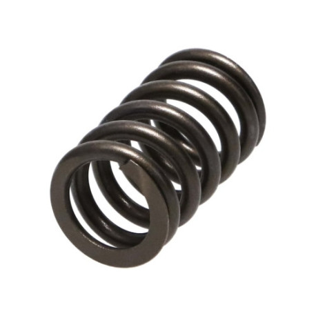 Časti motora Manley Valve Spring HONDA K20A3/K24A | race-shop.sk
