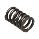 Časti motora Manley Valve Spring HONDA K20A3/K24A | race-shop.sk