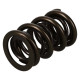 Časti motora Manley Valve Spring 1.650 DOUBLE | race-shop.sk