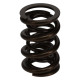 Časti motora Manley Valve Spring 1.650 DOUBLE | race-shop.sk