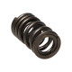 Časti motora Manley Valve Spring HONDA F20C/F22C | race-shop.sk