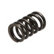 Časti motora Manley Valve Spring NISSAN SR20DE/SR20DET | race-shop.sk