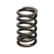 Časti motora Manley Valve Spring NISSAN SR20DE/SR20DET | race-shop.sk