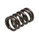 Časti motora Manley Valve Spring NISSAN RB26DETT | race-shop.sk