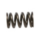 Časti motora Manley Valve Spring NISSAN RB26DETT | race-shop.sk