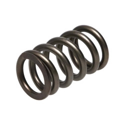 Manley Valve Spring DODGE SRT-4